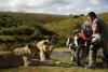 ONE WORLD. ONE BMW R 1200 GS-Tour, South Africa, 2013 - 2013/01/bmw_r1200_gs_lc-2013-onew-018_t1.jpg