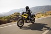 BMW F 750 GS and F 850 GS, 2017 - 2017/bmw-f-750-850-gs/bmw-f-750-850-gs-049_t2.jpg