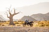 BMW F 750 GS and F 850 GS, 2017 - 2017/bmw-f-750-850-gs/bmw-f-750-850-gs-093_t2.jpg