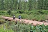 BMW F 800 GS - bmw-f-800-gs-074_t1.jpg
