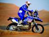  - paris-dakar-2001-bmw-motorrad-team-gauloises-01_t1.jpg