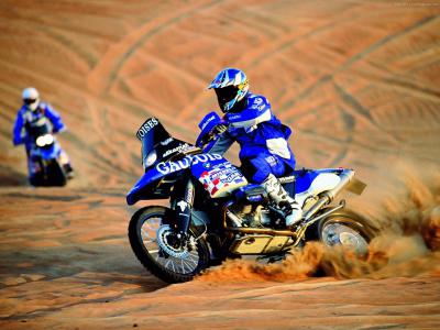  - paris-dakar-2001-bmw-motorrad-team-gauloises-05.jpg