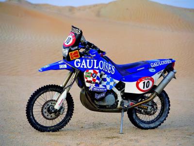  - paris-dakar-2001-bmw-motorrad-team-gauloises-09.jpg