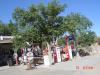 dsc02051_t1.jpg