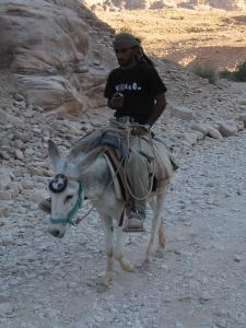 put20083226oi6_1.jpg