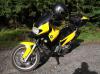 dscf0274_t1.jpg