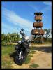 dscn0006_t1.jpg