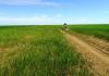 dscn1794_t1.jpg